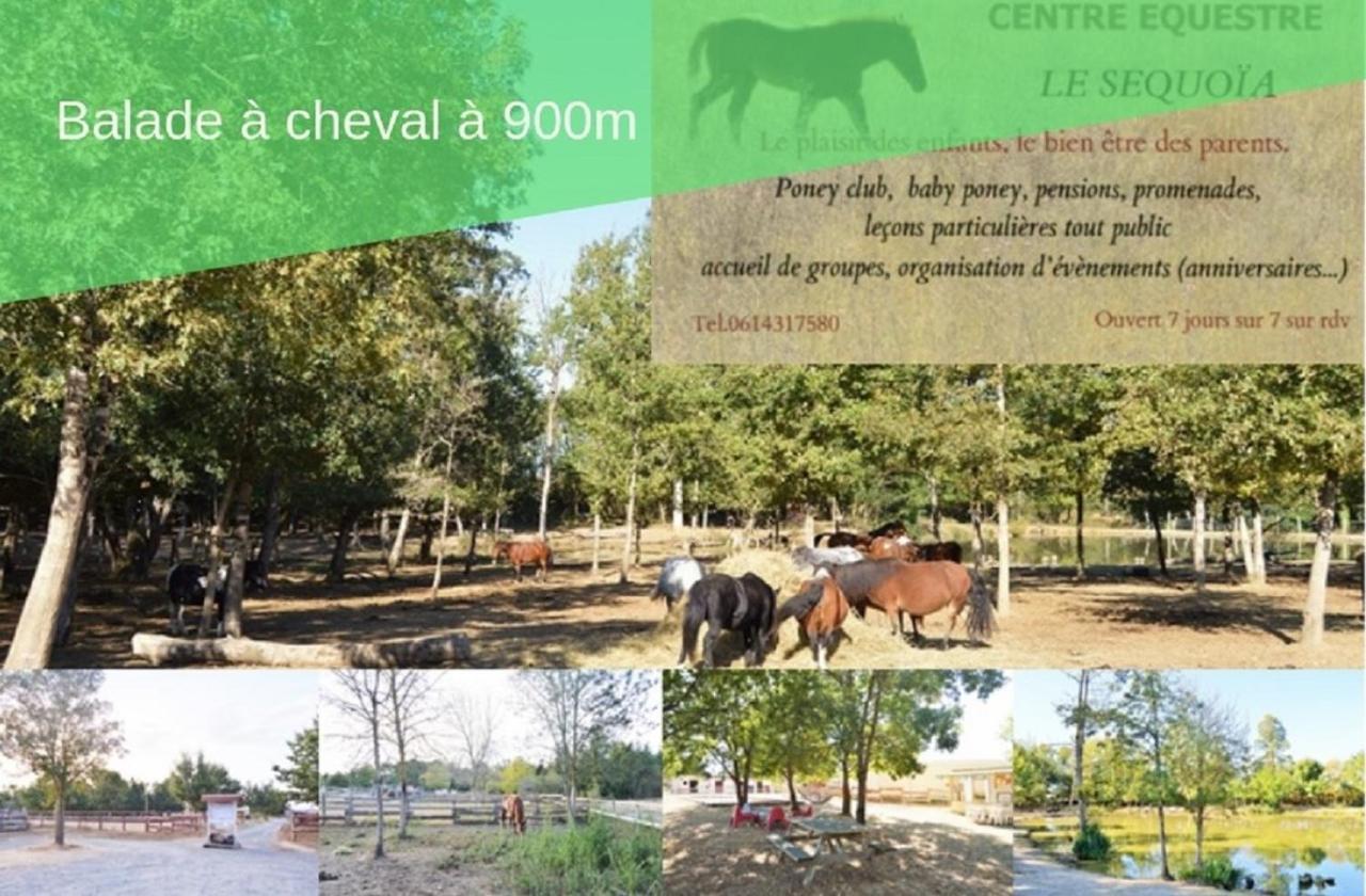 Le Grand Cottage Nature Piscine Chauffee Privee Du Tarn Entre Toulouse Et Albi & Les Cottages Du Tarn Peyrole 外观 照片